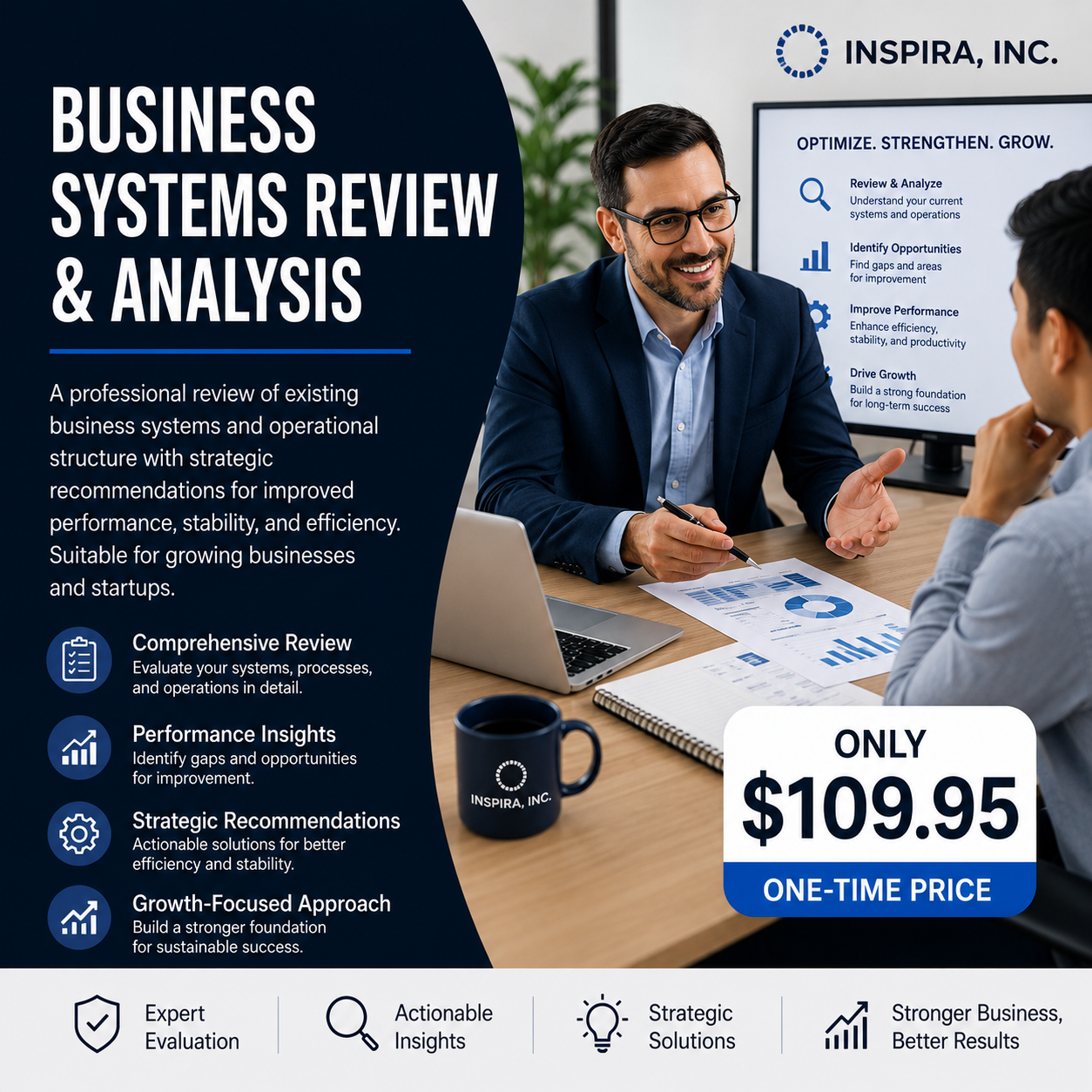 Business Systems Review & Analysis